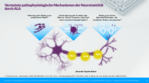 Pathophysiologie der akuten hepatischen Porphyrie